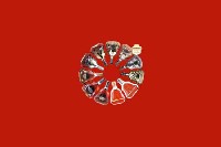 渭城区回收红酒